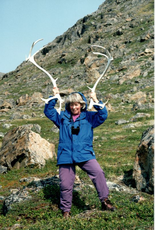 Caribou Antlers