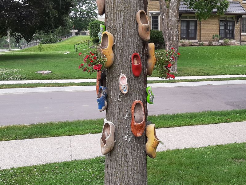 Dutch Shoe Tree