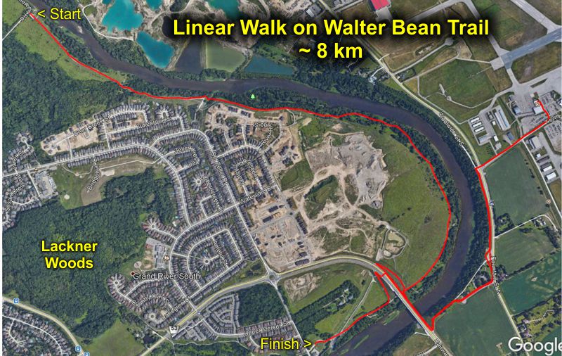 Linear Walk on Walter Bean Trail