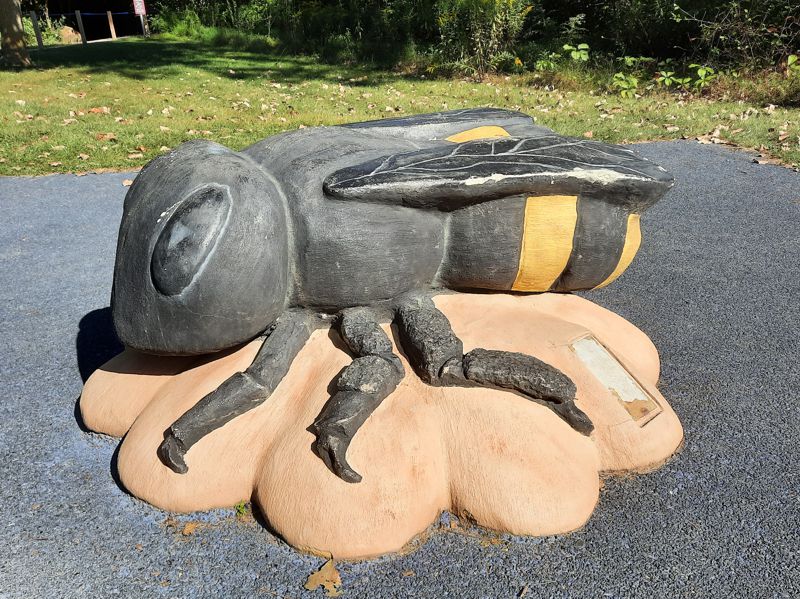 Bee