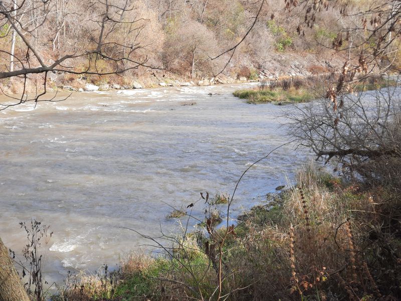 Nith River
