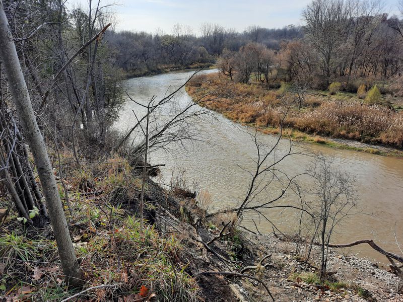 Meandering Nith River
