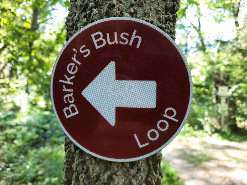 Trail Directional Symbol