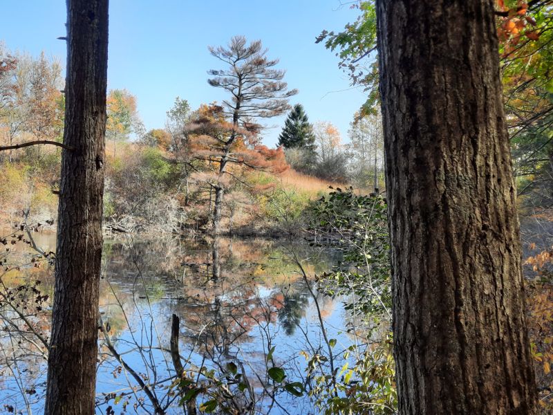 Kettle Lake Kettle Lake