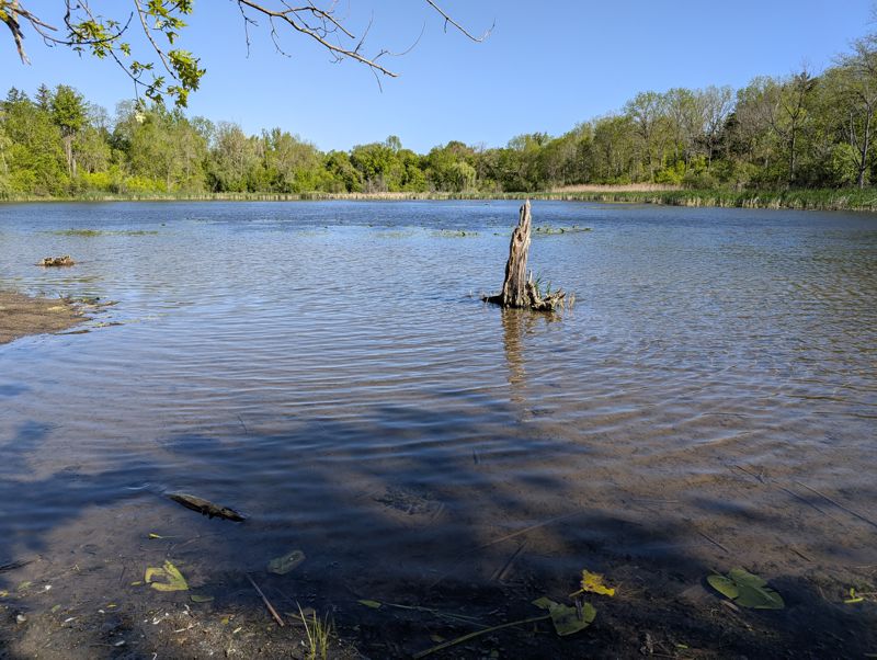 Lakeside Park pond